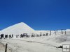 2024/05/03 - Visita a las salinas de Torrevieja 