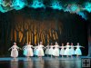 2024/04/29 - Tarde de ballet 